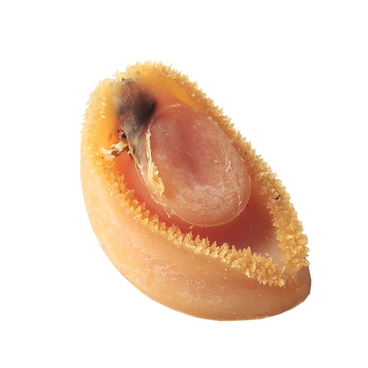 生曬南非網鮑 (31-35頭)