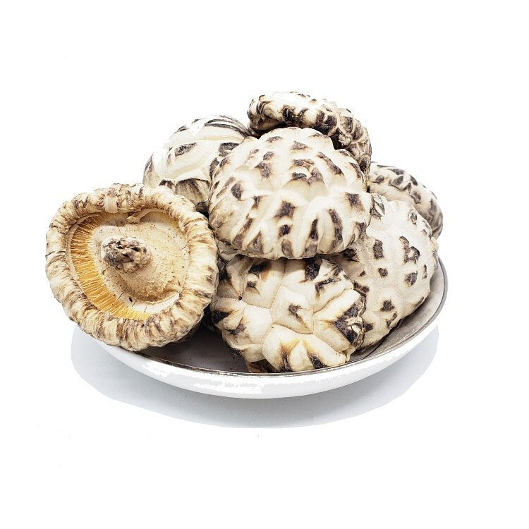 特級天白花厚寸菇
